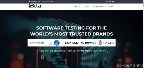 2024年12家最佳軟件測試服務公司