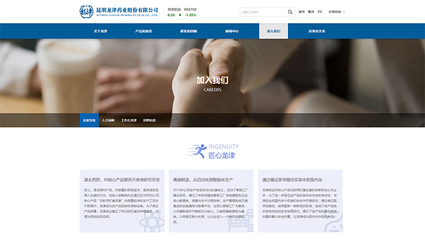 昆明奧遠科技 全方位網絡媒體設計制作解決方案